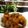 Sheela Biswas 's cooksnap of when they made মটন কষা(mutton kosha recipe in Bengali).