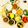 Flora's Kitchen's cooksnap of when they made Gujarati thali.