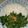 Josepha Roland's cooksnap of when they made White rice with vegetable soup nd fried chicken.