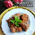 Cooksnap Hani Shaimi semasa beliau membuat Ikan Tongkol Masak Sambal.