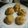 Cooksnap dari Winda Wanoja untuk resep Sus