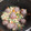 El cooksnap de Mauricio Luttges cuando hizo Carbonada de albóndigas.