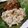 Cooksnap dari ȿɨƮą untuk resep Nasi Liwet