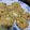 Cooksnap dari Della Ananta untuk resep Oatmeal Cookies