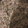 Rakgadi Mofulatsi's cooksnap of when they made Spur Creamy Spinach.