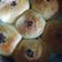 Cooksnap dari Elvi Sariayu untuk resep Roti Sobek / Roti Manis / Burger Bun resep anti gagal! cepat kalis
