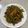 tamatei 的 豆乾炒青椒 cooksnap