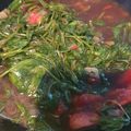 Cooksnap dari Ratna Wulan ayu untuk resep Tumis Kangkung