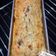 Cooksnap dari Mutabikh Uwmi (مطبخ اومي) untuk resep Cream Cheese Banana Bread