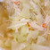 小媽簡單煮 的 10分鐘上菜-蝦皮炒水蒲瓜 cooksnap