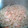 El cooksnap de Elena Puertas cuando hizo Espaguetis al ajillo con gambas.