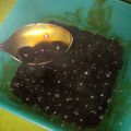 Cooksnap dari Dyna amallya untuk resep Tapioka Pearl/Bubble/Boba