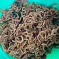 Cooksnap dari Whiksantiad untuk resep Mie Goreng Udang Sosis ala Burung Dara