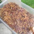 Cooksnap dari kartika suryani untuk resep Kering Ubi Jalar Kentang
