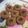 El cooksnap de Bárbara cuando hizo Galletas en microondas sin huevo ni mantequilla fáciles y rricas.