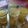 Runta Dutta's cooksnap of when they made আম পোড়া সরবত (aam pora sarbat recipe in Bengali).