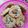 รูป Cooksnap ของ Violet เมื่อเขาทำ คุกกี้ข้าวโอ๊ตเนยสด Crispy oatmeal cookie คุกกี้ข้าวโอ๊ต คุกกี้เนยสด