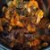Cooksnap dari dapoer_pemula untuk resep Sambel udang cor dor