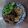 Cooksnap dari tara pratiwi untuk resep Japanese Fried Rice