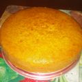 El cooksnap de Yetsahe Rivas cuando hizo Torta de auyama en licuadora🍰.