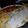 El cooksnap de Lore Harris cuando hizo Tarta de acelga.