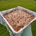 El cooksnap de Nicollefood cuando hizo Brownie sin mantequilla/ fudge brownie.