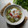 Cooksnap dari djanara.homecook untuk resep Sop Oyong Tahu