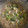 El cooksnap de Matias Ortiz García cuando hizo Brócoli con setas y quinoa.