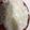 Sami Saqib's cooksnap of when they made White rice.