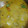 El cooksnap de Luis Antonio Mancilla cuando hizo Carbonada.