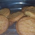 Sabrina Finkel Cook's cooksnap of when they made Peanut butter Cookies.