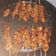 Cooksnap dari rosana yuli astuti untuk resep Sate Ayam Bumbu Maranggi