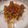 Cooksnap dari Pipit Syamsudin untuk resep Sate padang