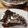Cooksnap από nitsa στη συνταγή Πάστα oreo