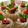 Cooksnap dari Maria Shita untuk resep Talam Abon