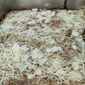 Cooksnap dari emilia Indra untuk resep Banana bread