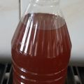 El cooksnap de Paqui Márquez Santisteban cuando hizo Infusión quemagrasas.