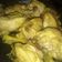 Cooksnap dari Sri Ulandari untuk resep Ayam Ungkep Bumbu Kuning (empuk setelah digoreng) #laukpraktis