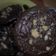 Cooksnap dari saarah untuk resep Cashew Nut Brownies Cookies