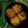 Cooksnap dari Dwi Ayu untuk resep Tahu Rambutan
