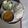Nisha Jha's cooksnap of when they made Dal chawal.