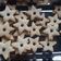 Cooksnap dari Syahtriah untuk resep Cookies bangkit aka kue sagu