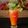 Manisha Sampat's cooksnap of when they made Orange Coco Sunset Mocktail.