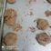 Cooksnap dari santi untuk resep Cookies Coklat