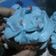 Cooksnap dari Yohana Khaira untuk resep Vanilla Cupcakes Lembut