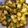 Charusheela Prabhu's cooksnap of when they made बटाटा भाजी (batata bhaji recipe in marathi).