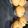 El cooksnap de Makiss cuando hizo Cupcake con crema de manjar.