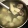 Darla Jylpig Ren 的 排骨竹筍湯 cooksnap