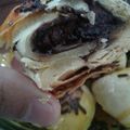 Cooksnap dari mayasari untuk resep Bolen Pisang (no korsvet)