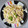 El cooksnap de Fernando Caballer Carbonell cuando hizo Macarrones con bacon y champiñones.